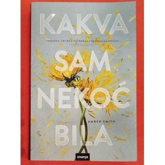 Amber Smith - Kakva sam nekoć bila